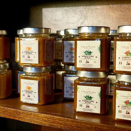 Il Vecchio Frantoio Villa Stella Cilento Екстериор снимка