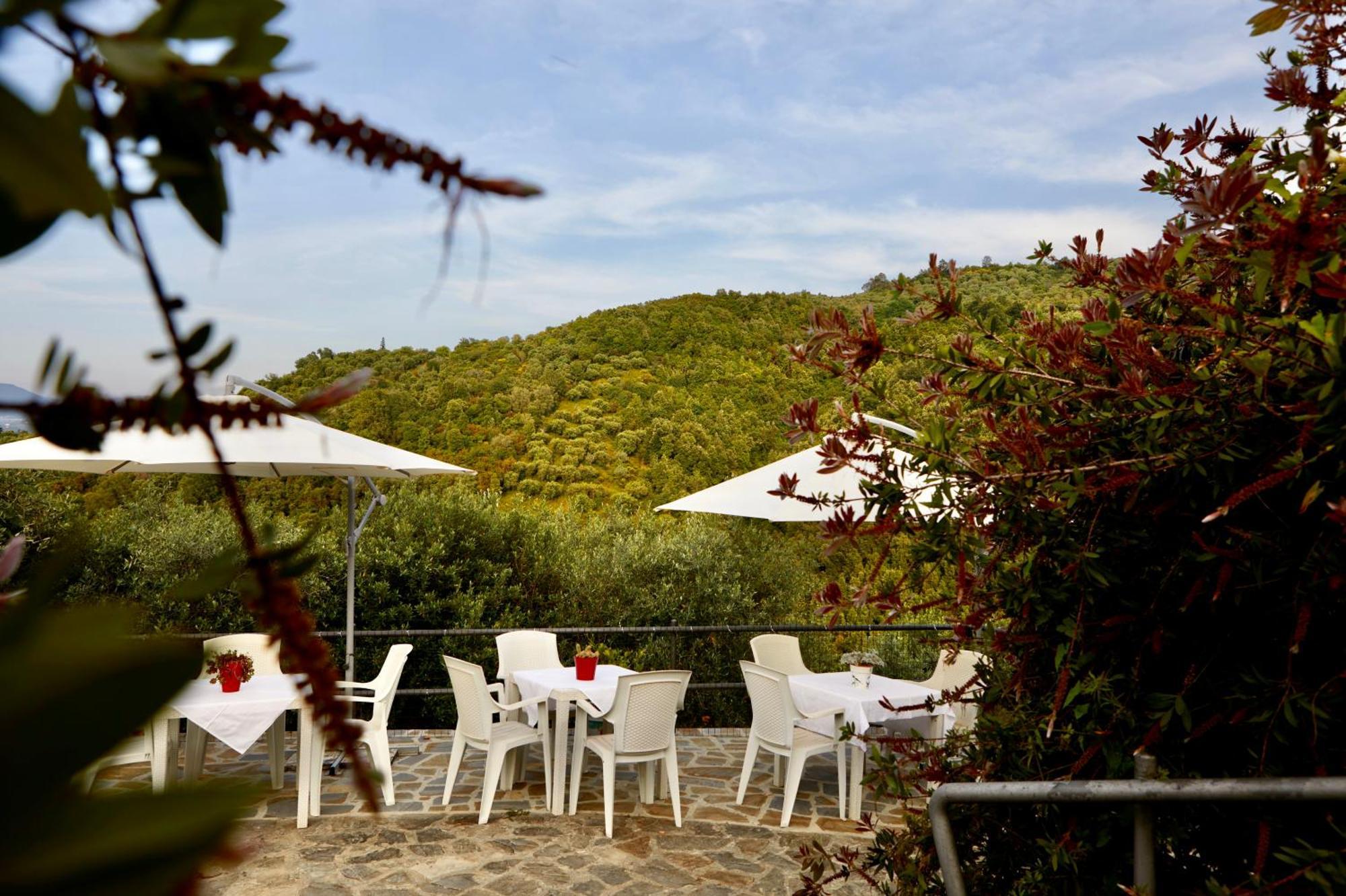 Il Vecchio Frantoio Villa Stella Cilento Екстериор снимка