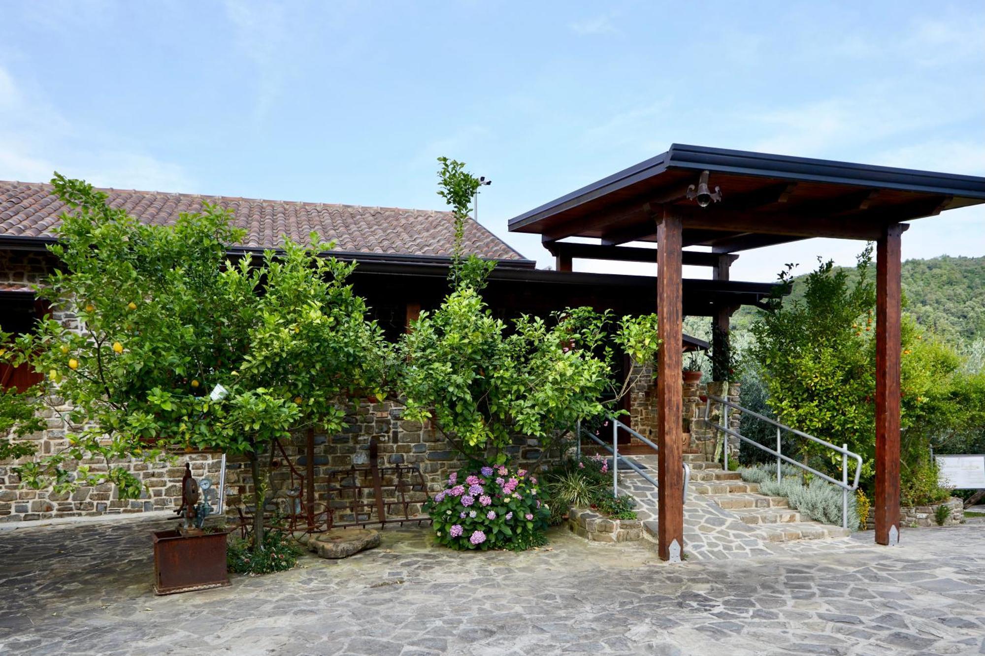 Il Vecchio Frantoio Villa Stella Cilento Екстериор снимка
