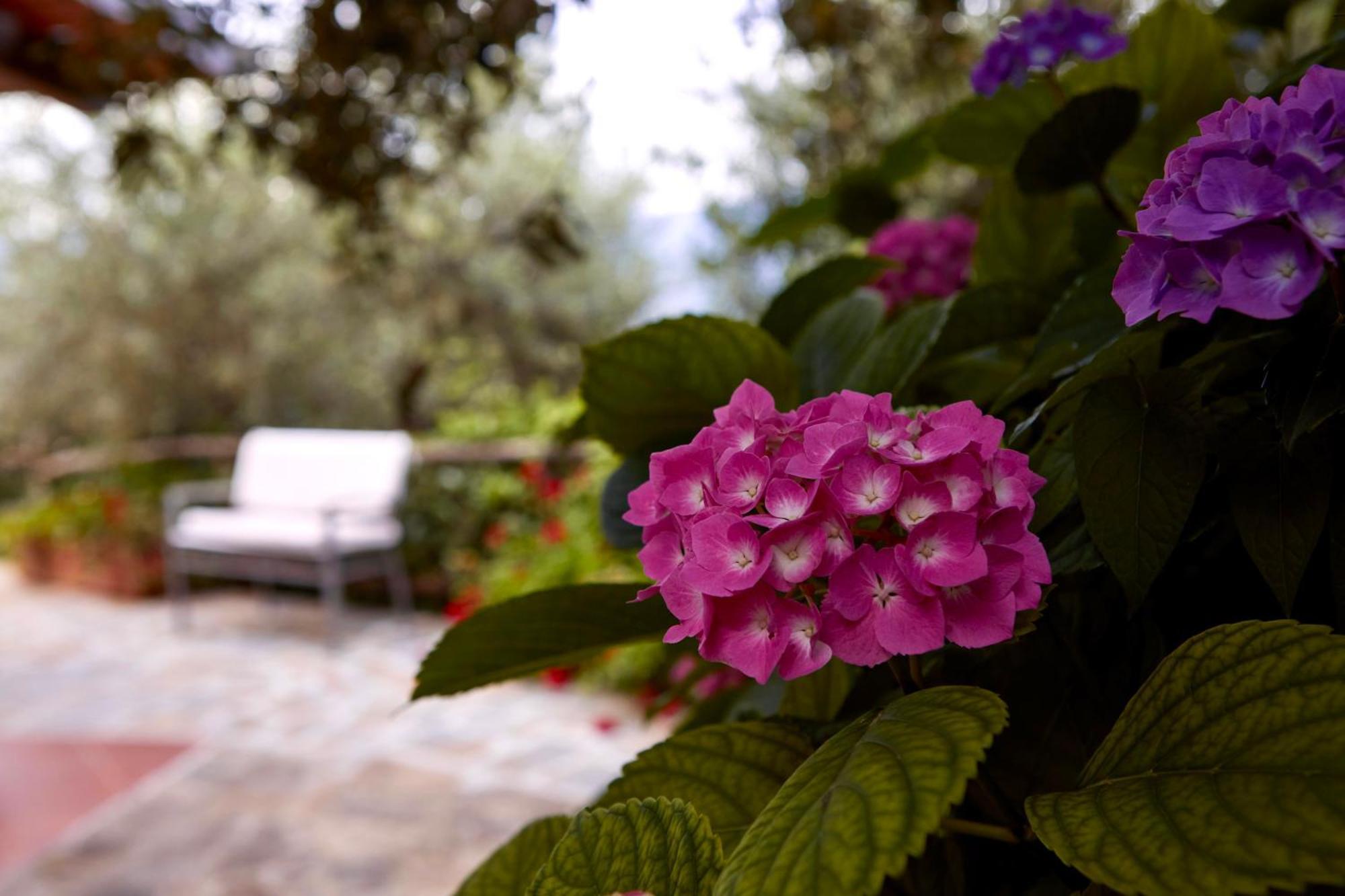 Il Vecchio Frantoio Villa Stella Cilento Екстериор снимка