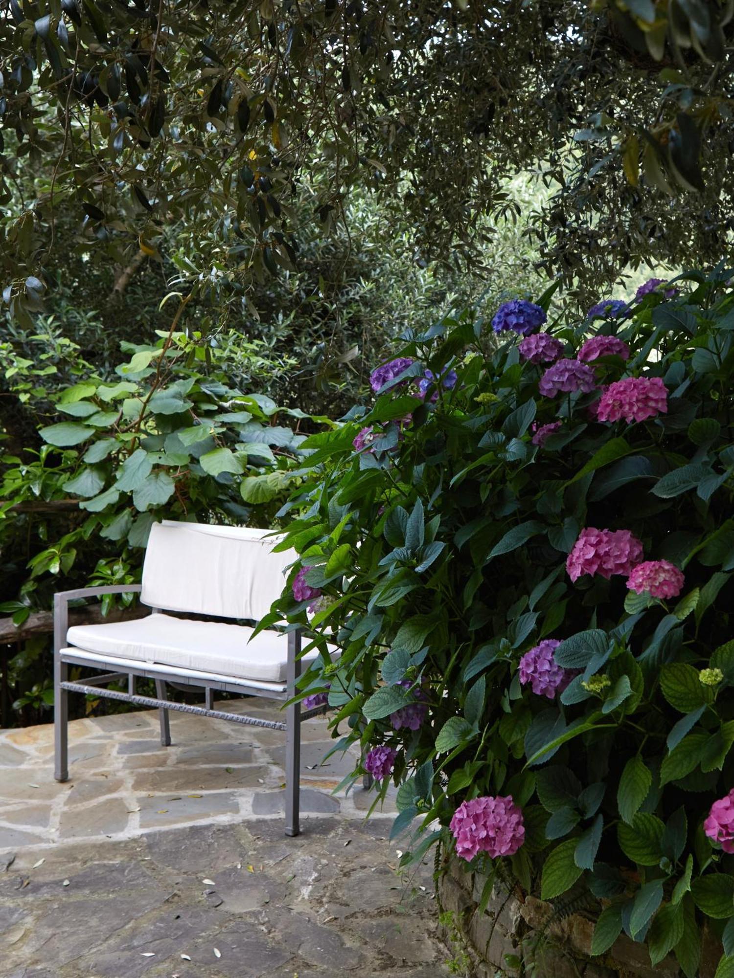 Il Vecchio Frantoio Villa Stella Cilento Екстериор снимка