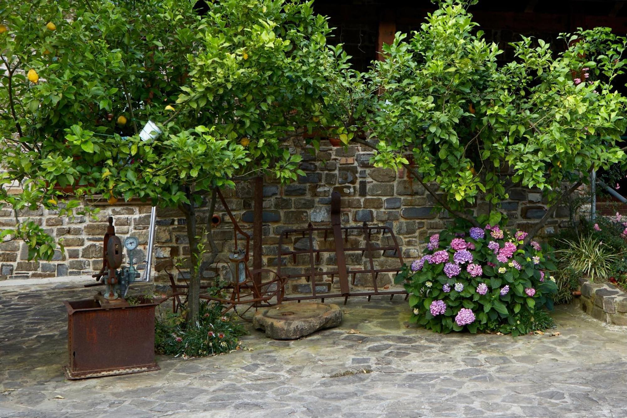 Il Vecchio Frantoio Villa Stella Cilento Екстериор снимка